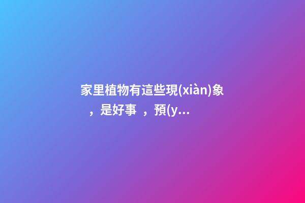 家里植物有這些現(xiàn)象，是好事，預(yù)示你家要發(fā)大財(cái)了！